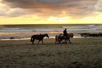 Crete horse riding