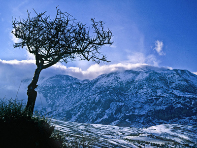 Crete winter villa